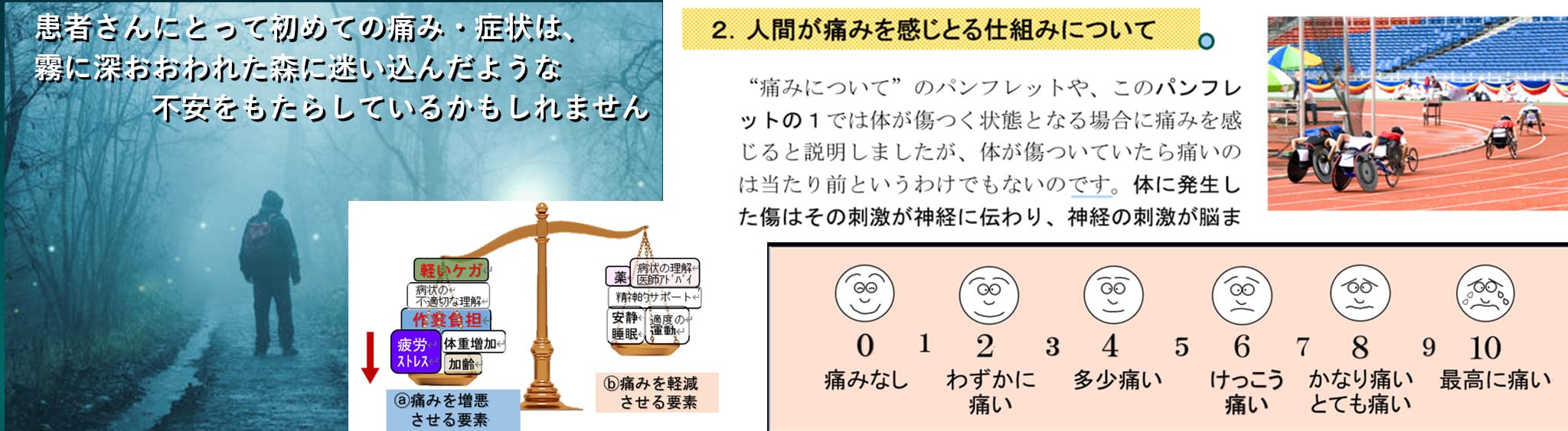 資料や動画で学ぶ